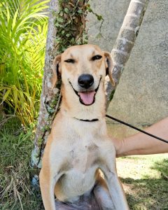 b1a13bfd-5f13-4802-acf3-4b27187b9487