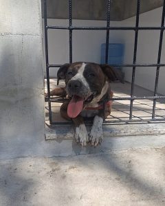 dfaf510a-afea-4ac7-96fa-050d57b55a2f